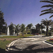 Florida Landscape Entry